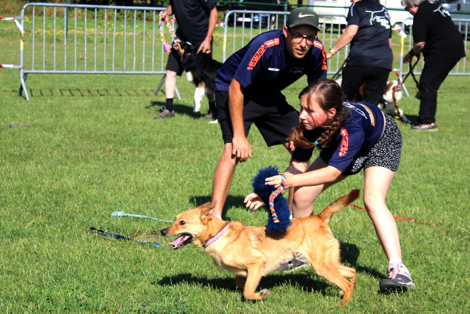 hsflyers - flyball - fearless flyers